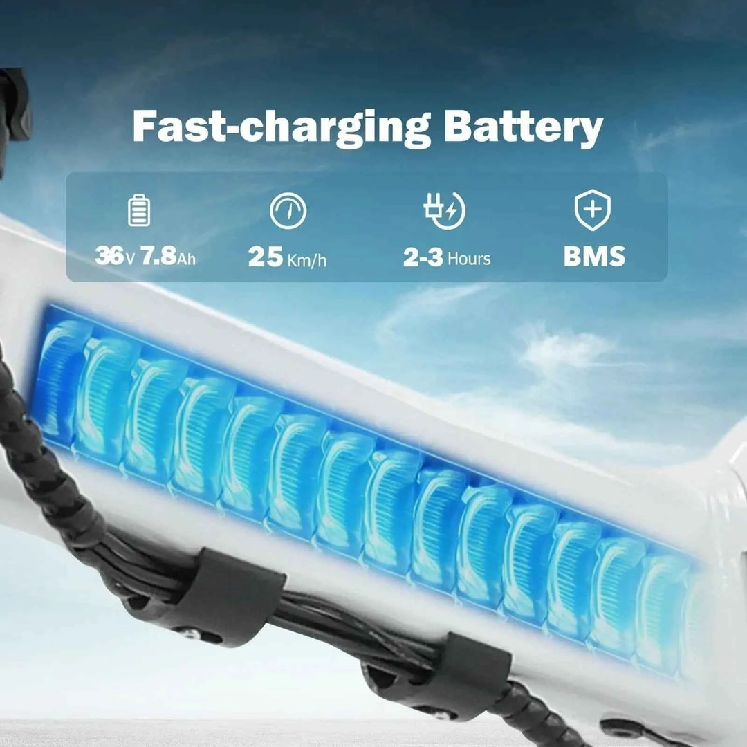 Finbike U3 Folding Electric Bike 250W 55km Range 2-3h Charge - FinBike.com