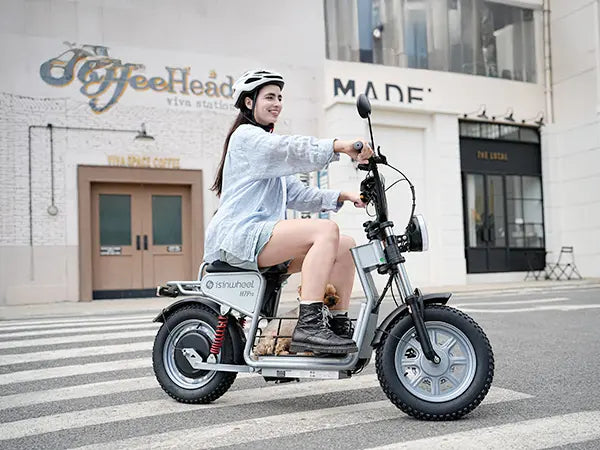 Commuter E-Scooter
