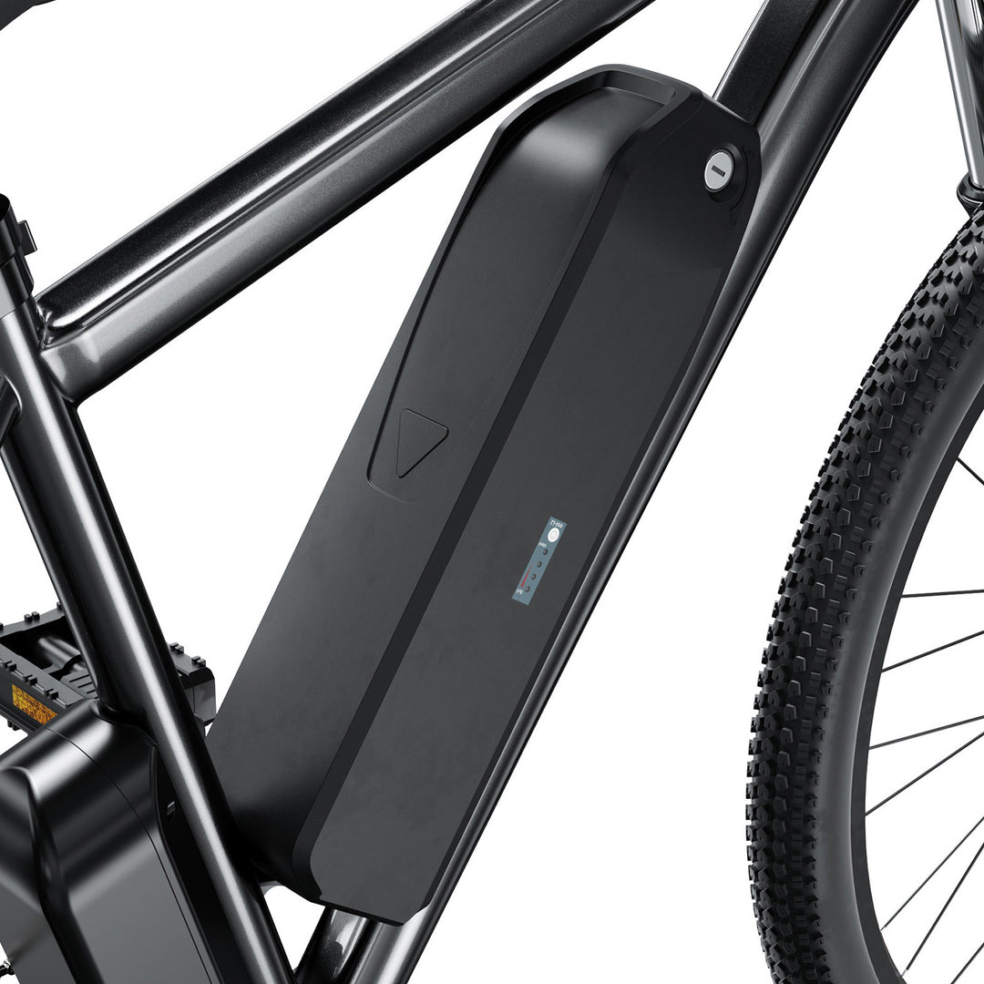 Finbike M10 Mountain Electric Bike