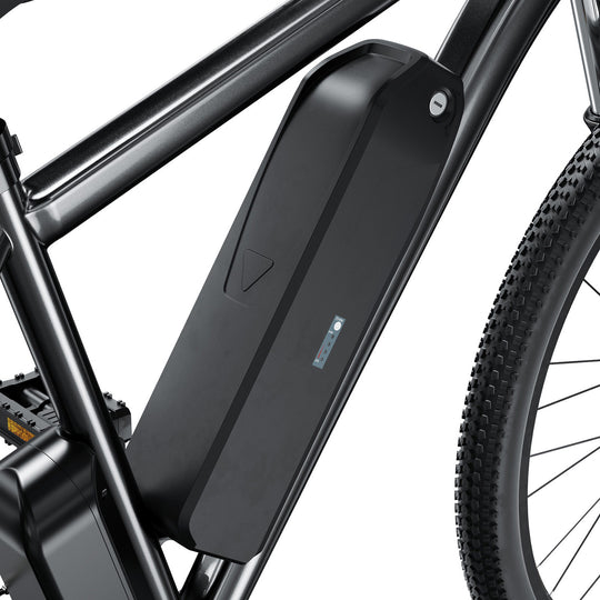 Finbike M10 Mountain Electric Bike