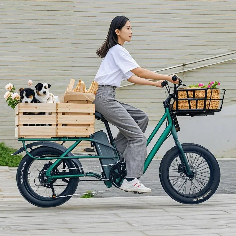 Finbike Ucity trekking elektrische fiets