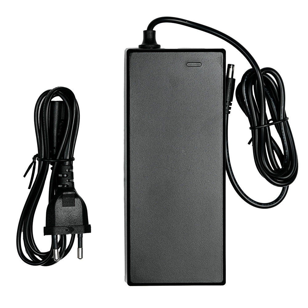Caricatore 42V 3A