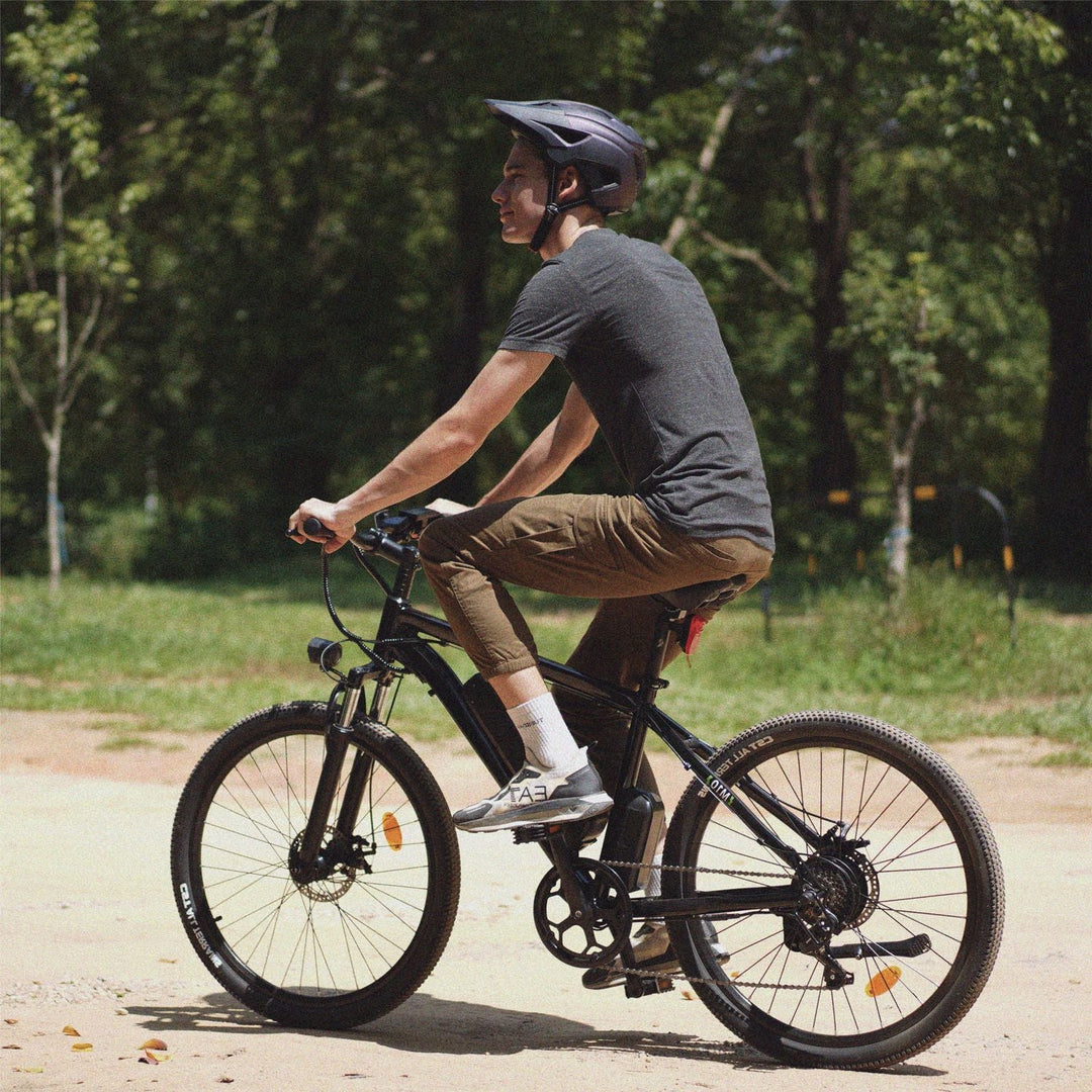 Finbike M10 Mountain Electric Bike