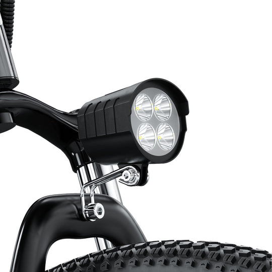 Finbike M10 Mountain Electric Bike