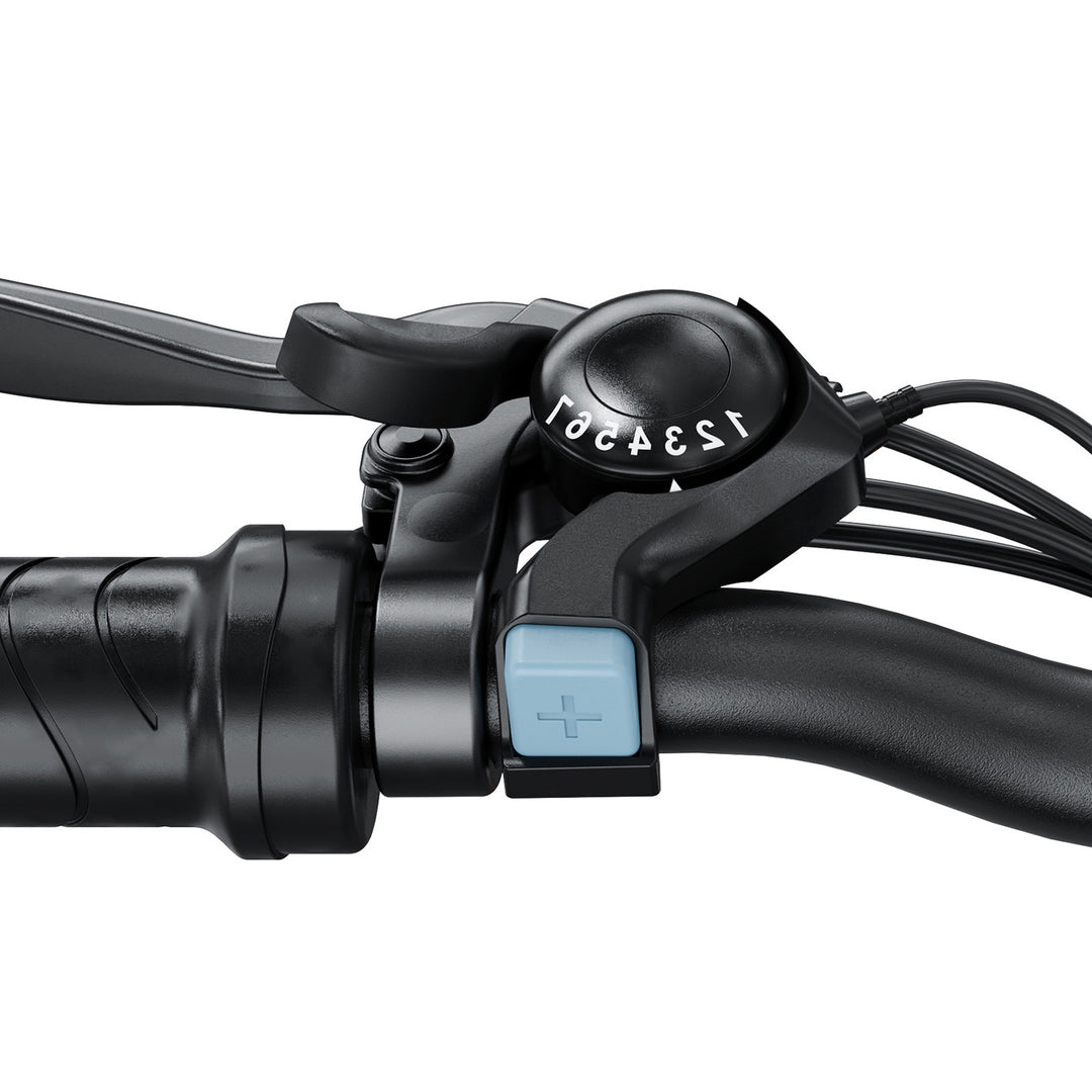 Finbike M10 Mountain Electric Bike