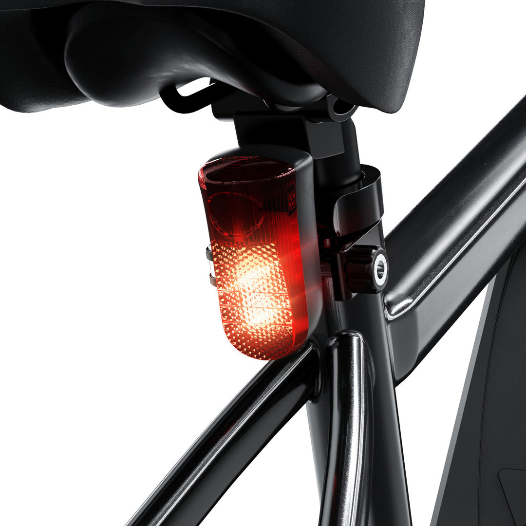 Finbike M10 Mountain Electric Bike