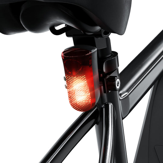 Finbike M10 Mountain Electric Bike