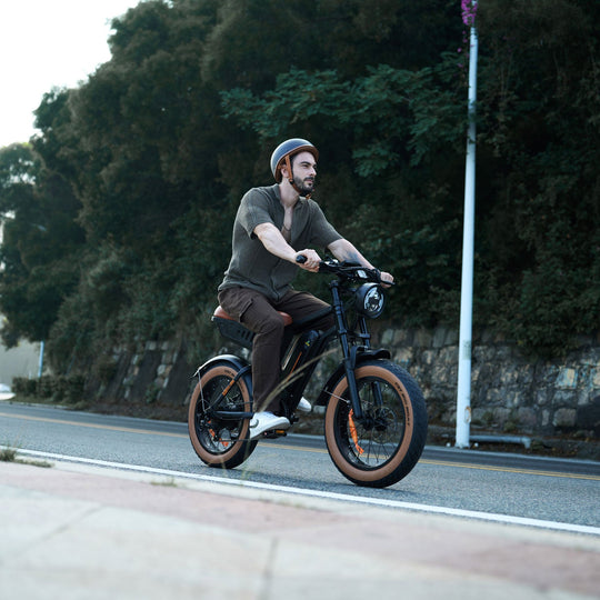 Finbike R6 Fat Tire Electric Bike