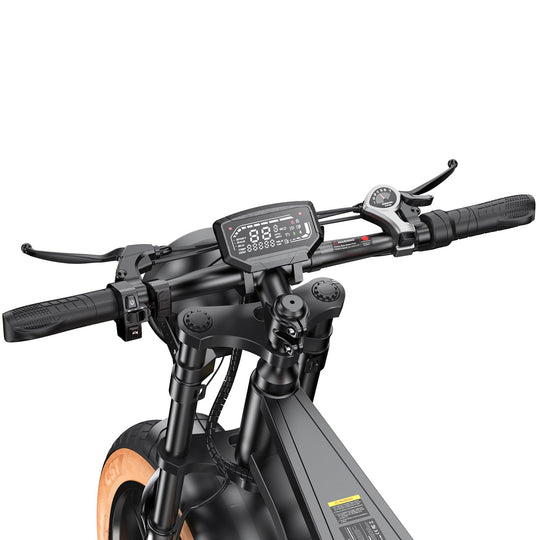 Finbike R6 Fat Tire Electric Bike