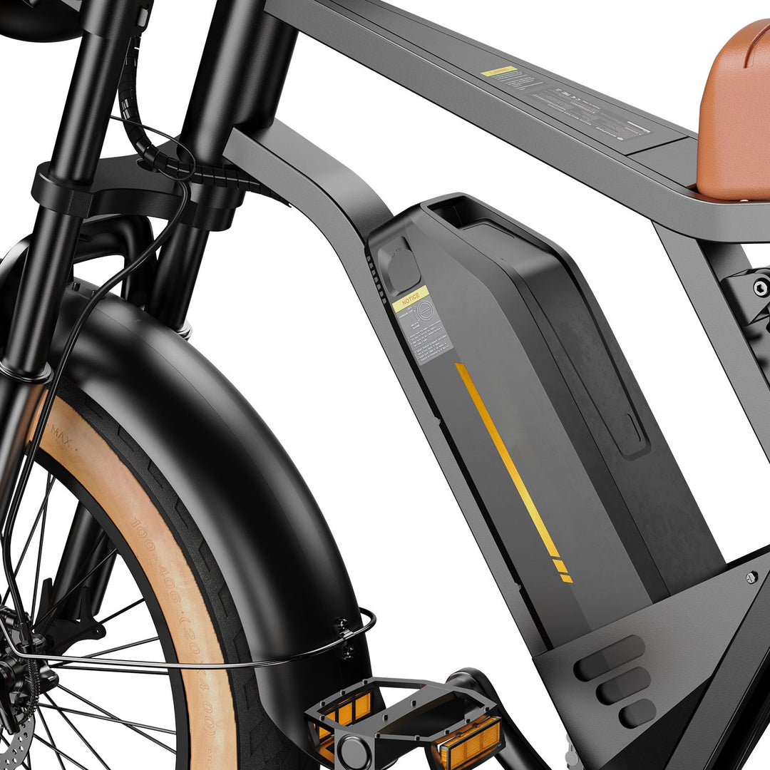 Finbike R6 Fat Tire Electric Bike