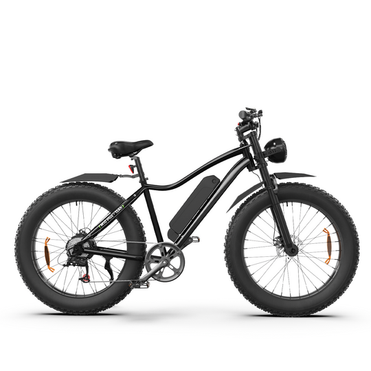 Finbike M10 Plus Mountain E-Bike
