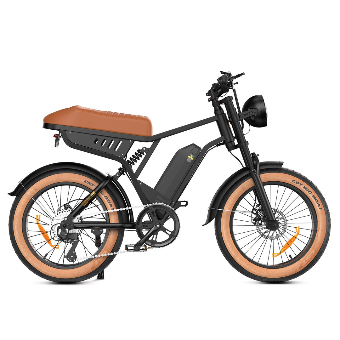 Finbike R6 Fat Tire Electric Bike