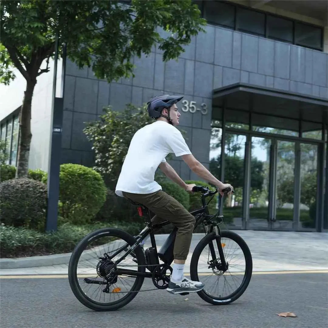 Finbike M10/EB3 Mountain Electric Bike 36V 10.4Ah 35km/h Speed