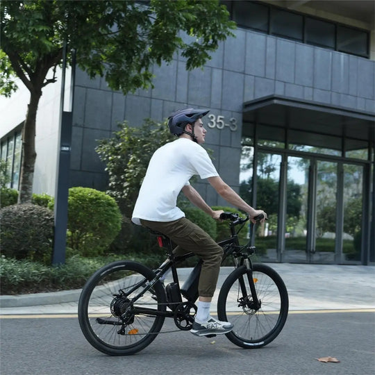 Finbike M10 Mountain Elektrofahrrad