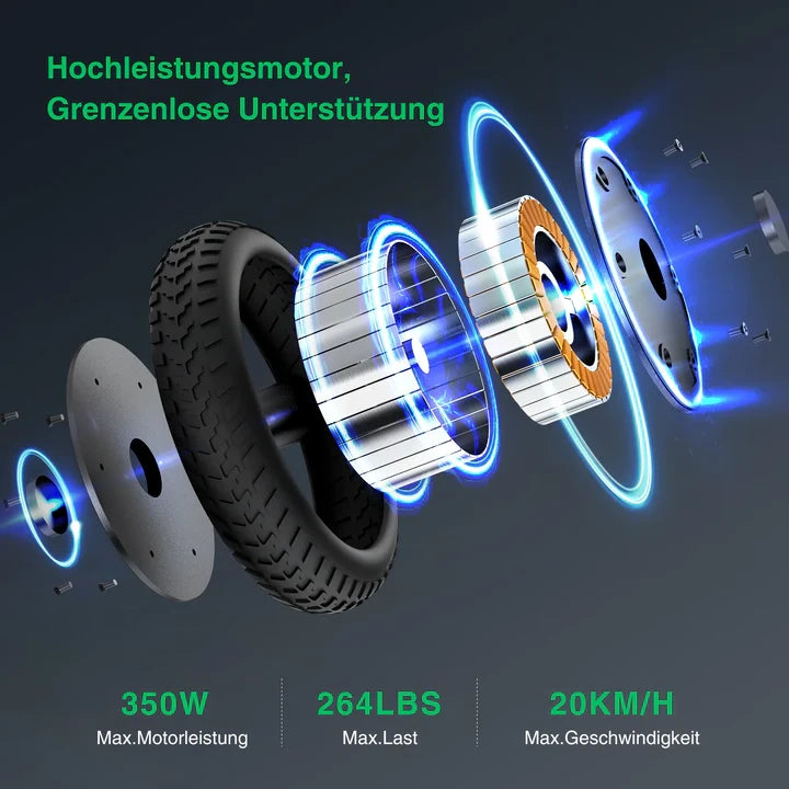 Finbike E9 E-Scooter mit ABE, 30 km Reichweite, 20 km/h, Legal in Deutschland