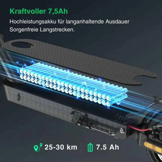 Finbike E9 Electric Scooter with ABE 350W Motor