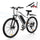 Finbike EB3S Electric Mountain Bike 36V 15Ah Battery 250W Motor