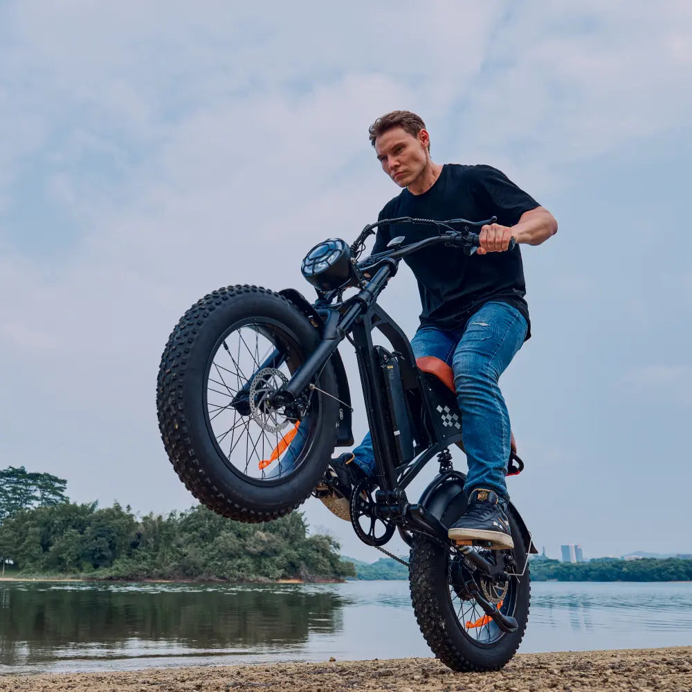 Finbike EB5/EB5Max Electric Dirt Bike 20*4.0" Fat Tires 97km Range - product image 26