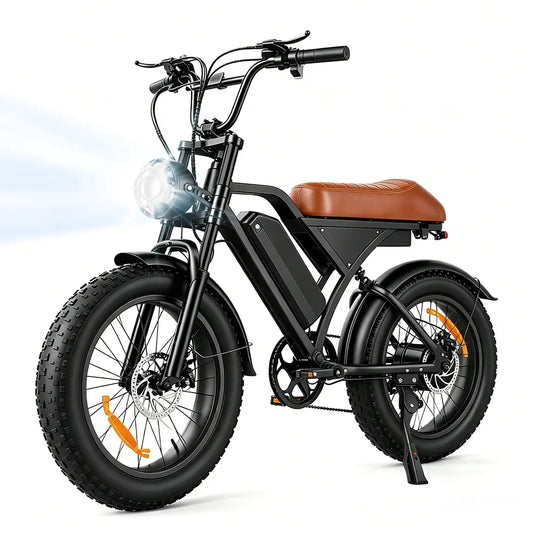 Finbike EB5/EB5Max Electric Dirt Bike 20*4.0" Fat Tires 97km Range