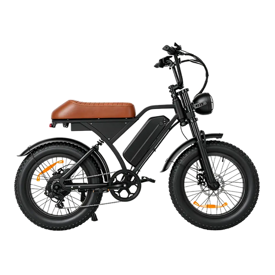 Finbike EB5/EB5Max Electric Dirt Bike 20*4.0" Fat Tires 97km Range