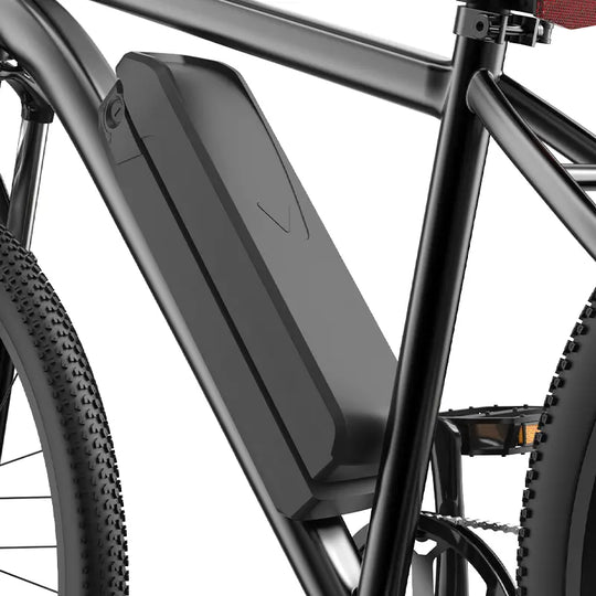 Finbike M10 Mountain Electric Bike 36V 10.4Ah 35km/h Speed - FinBike.com