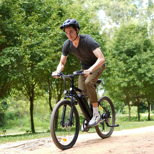 Finbike M10 Mountain Elektrisches Fahrrad 250W Motor 96km Maximale Reichweite