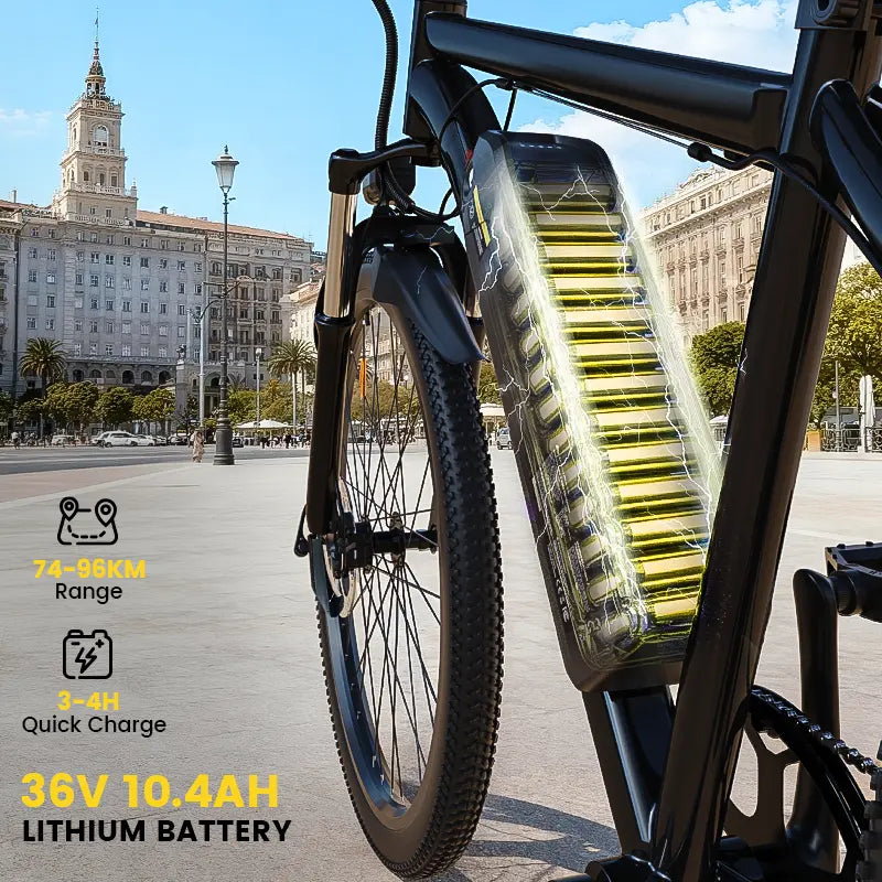 Finbike M10 Mountain Electric Bike 36V 10.4Ah 35km/h Speed - FinBike.com