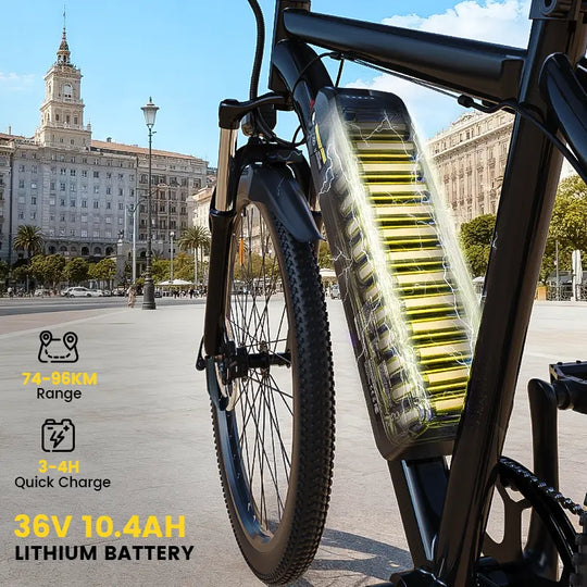 Finbike M10 Mountain Electric Bike 36V 10.4Ah 35km/h Speed - FinBike.com