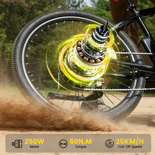 Finbike M10 Mountain Electric Bike 36V 10.4Ah 35km/h Speed - FinBike.com