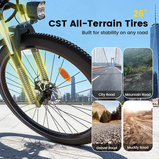 Finbike M10 Mountain Electric Bike 36V 10.4Ah 35km/h Speed - FinBike.com