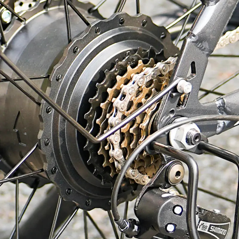 Finbike M60 Fat Tire Electric Bike