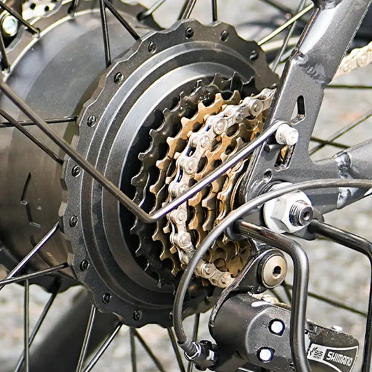 Finbike M60 Fat Tire Electric Bike