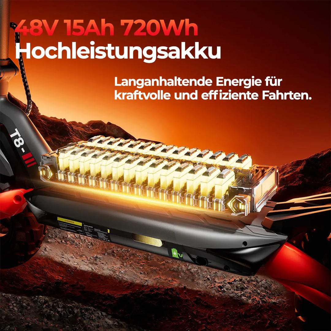 Finbike T8 Electric Scooter 48V 15Ah Battery 100km Range with ABE - FinBike.com