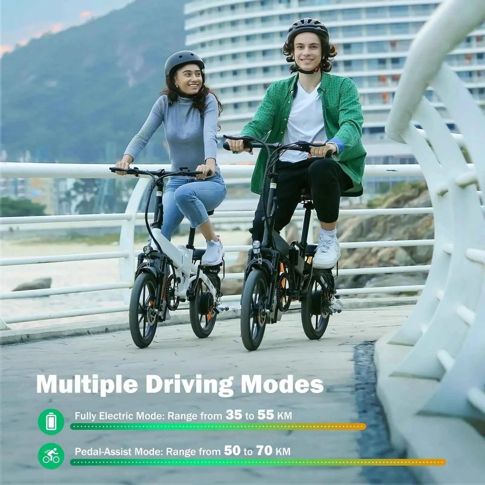 Finbike U3 Folding Electric Bike 250W 55km Range 2-3h Charge