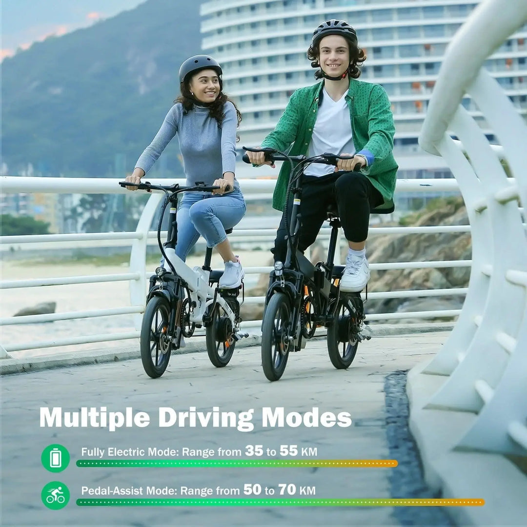 Finbike U3 Folding Electric Bike 250W Motor 55km Max Range 2-3h Charge