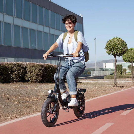 Finbike U4 Commuter Electric Bike 36V 10.4Ah Battery 88km Range