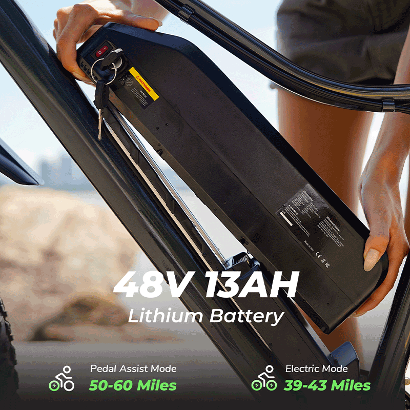 Finbike M10 Plus Mountain E-Bike