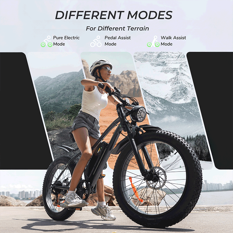 Finbike M10 Plus Mountain E-Bike