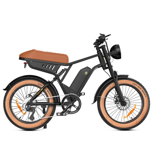 Finbike R6 Fat Tire Electric Bike