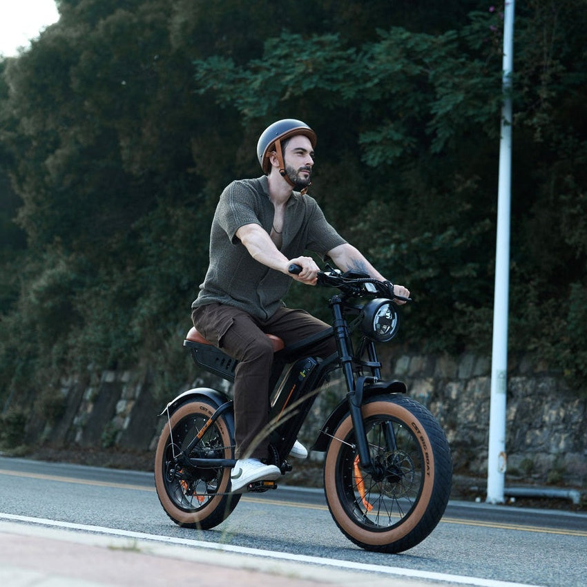 Bici elettrica per pneumatici grassi pinne Finbike R6