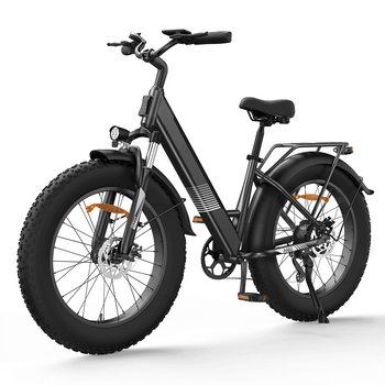 Finbike M60 Fat Tire Electric Bike