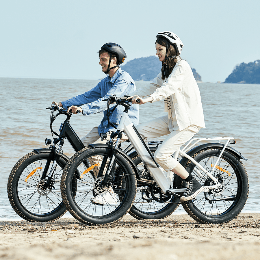 Finbike M60 Fat Tire Electric Bike