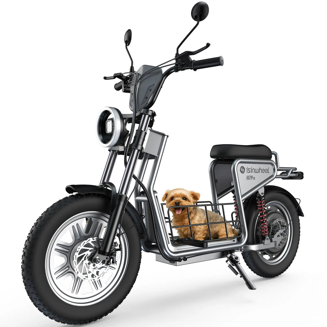 Trottinette électrique isinwheel GT1 Moteur 800W 48V 10Ah Autonomie 45km