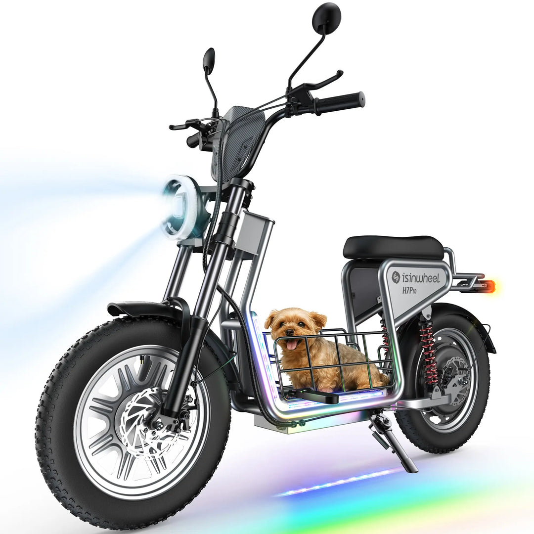 Trottinette électrique isinwheel GT1 Moteur 800W 48V 10Ah Autonomie 45km
