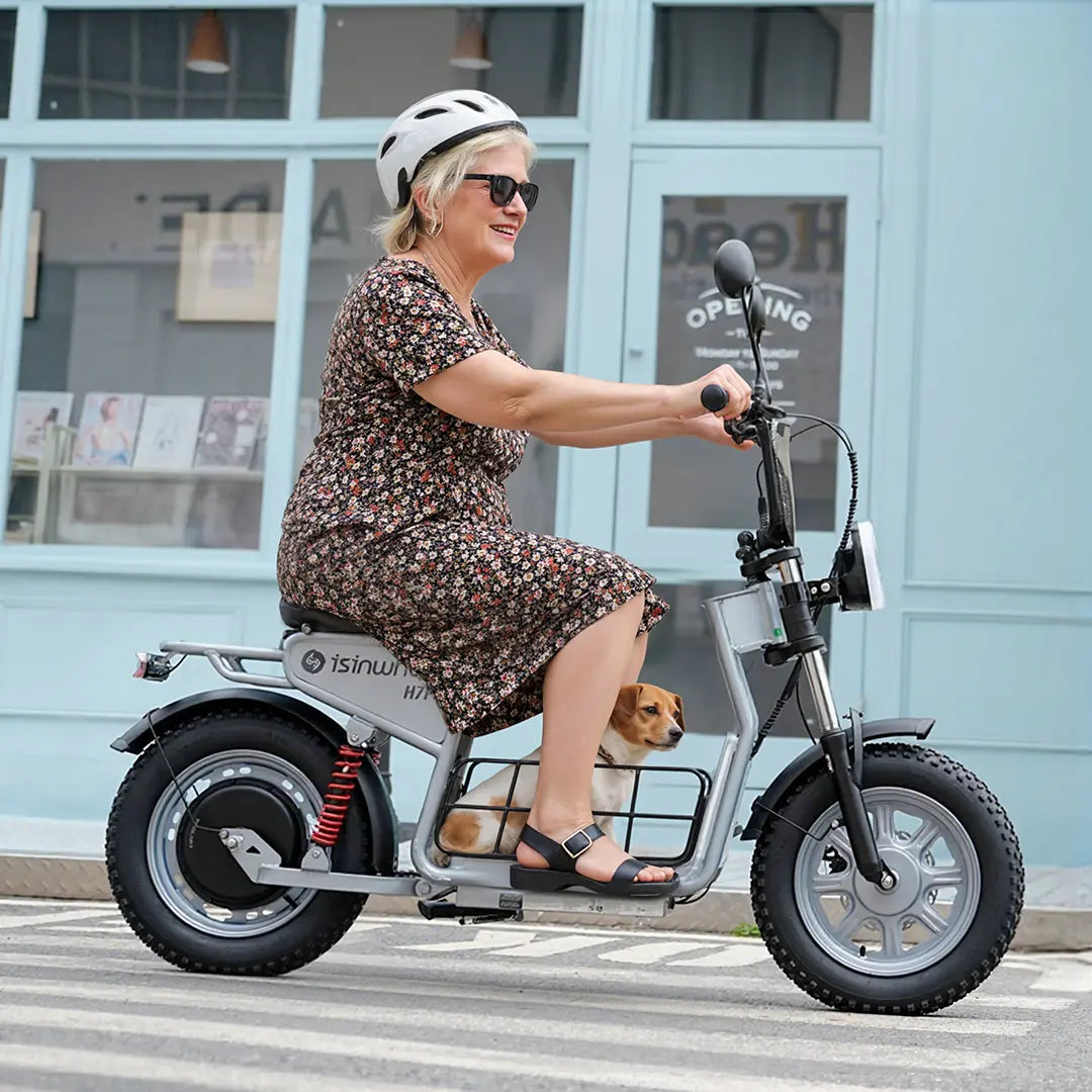 Trottinette électrique isinwheel GT1 Moteur 800W 48V 10Ah Autonomie 45km