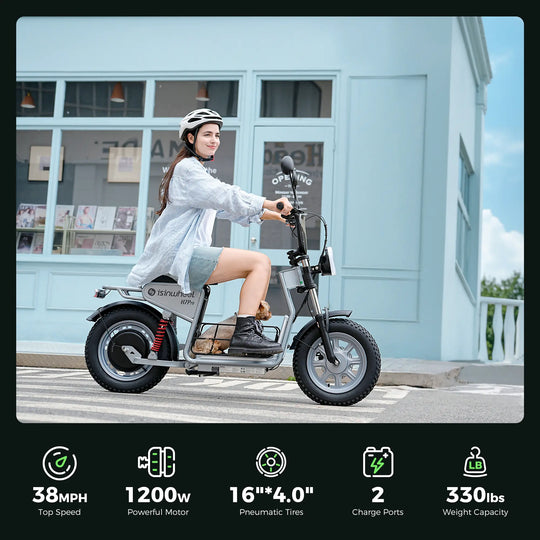 Trottinette électrique isinwheel GT1 Moteur 800W 48V 10Ah Autonomie 45km
