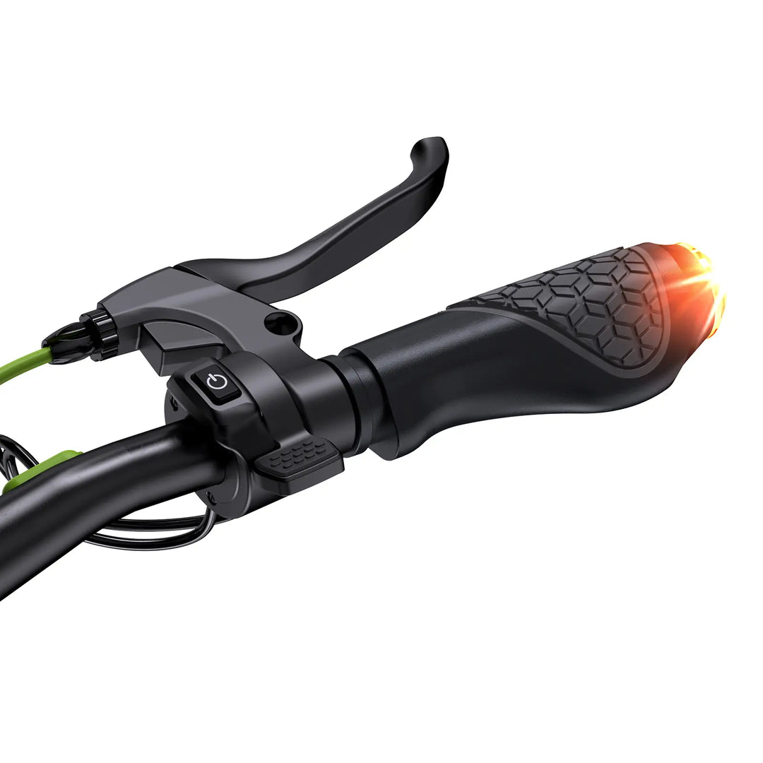 Trottinette électrique isinwheel S10MAX Moteur 1000W Batterie 48V 15Ah