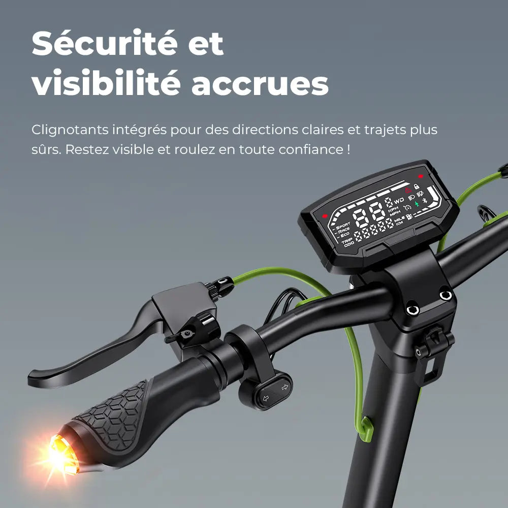 Trottinette électrique isinwheel S10MAX Moteur 1000W Batterie 48V 15Ah