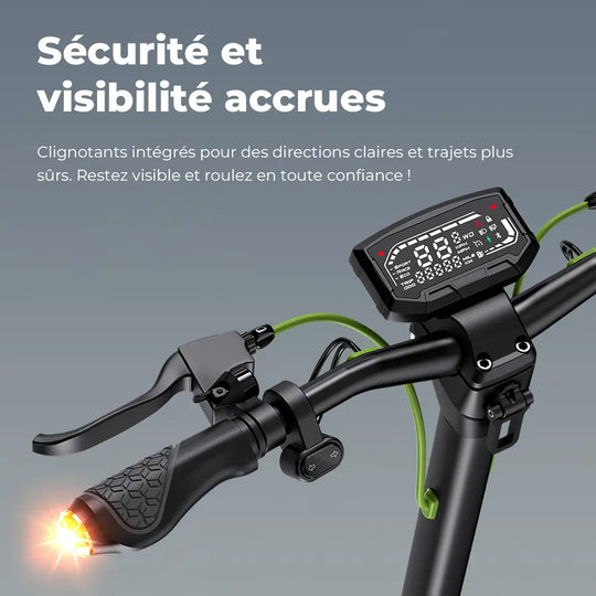 Trottinette électrique isinwheel S10MAX Moteur 1000W Batterie 48V 15Ah