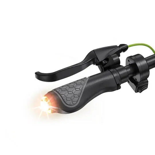 Trottinette électrique isinwheel S10Plus avec certification ABE Batterie 36V 15Ah